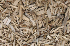 biomass boilers Draethen
